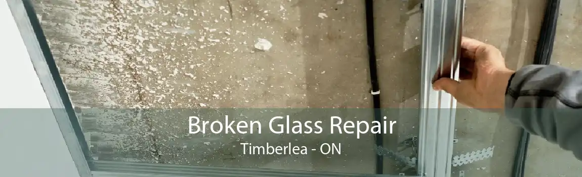 Broken Glass Repair Timberlea - ON