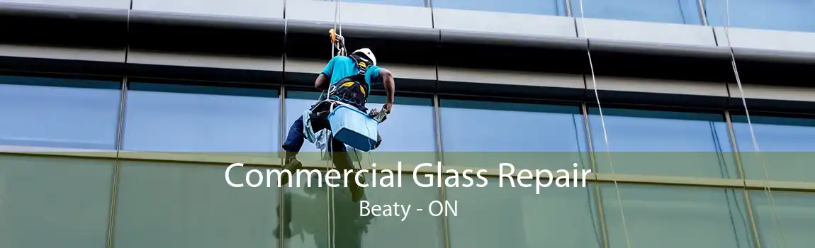 Commercial Glass Repair Beaty - ON