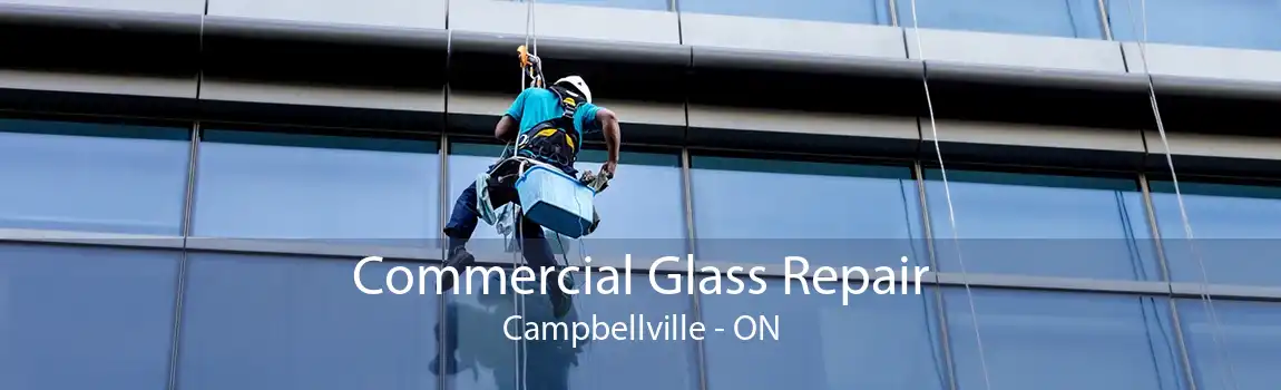 Commercial Glass Repair Campbellville - ON