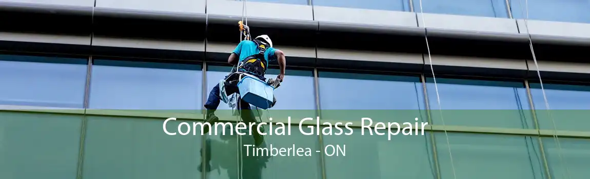 Commercial Glass Repair Timberlea - ON