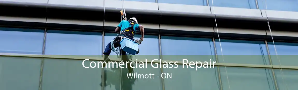 Commercial Glass Repair Wilmott - ON