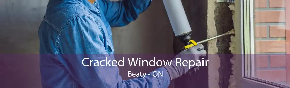 Cracked Window Repair Beaty - ON