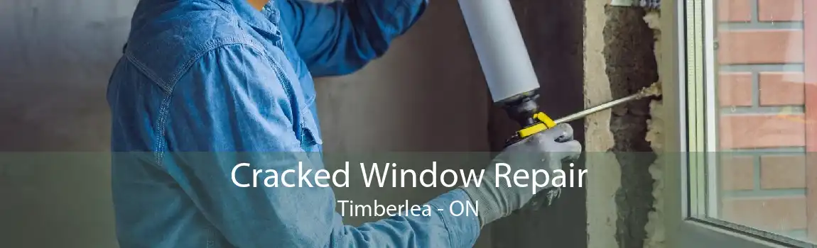 Cracked Window Repair Timberlea - ON