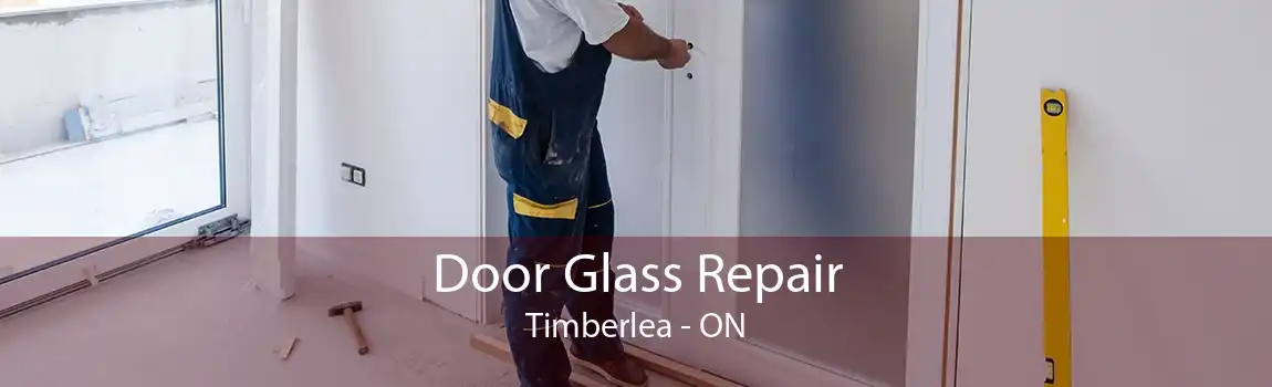 Door Glass Repair Timberlea - ON