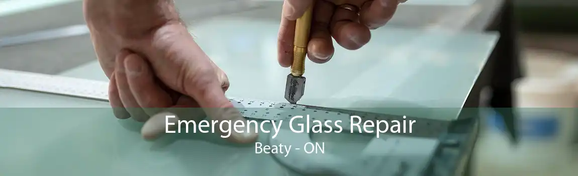 Emergency Glass Repair Beaty - ON
