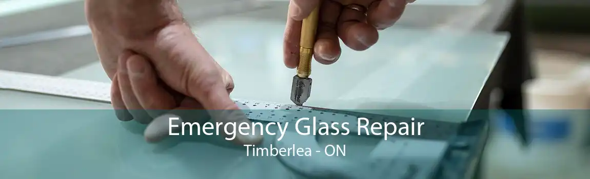 Emergency Glass Repair Timberlea - ON