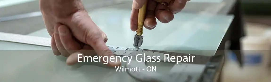 Emergency Glass Repair Wilmott - ON