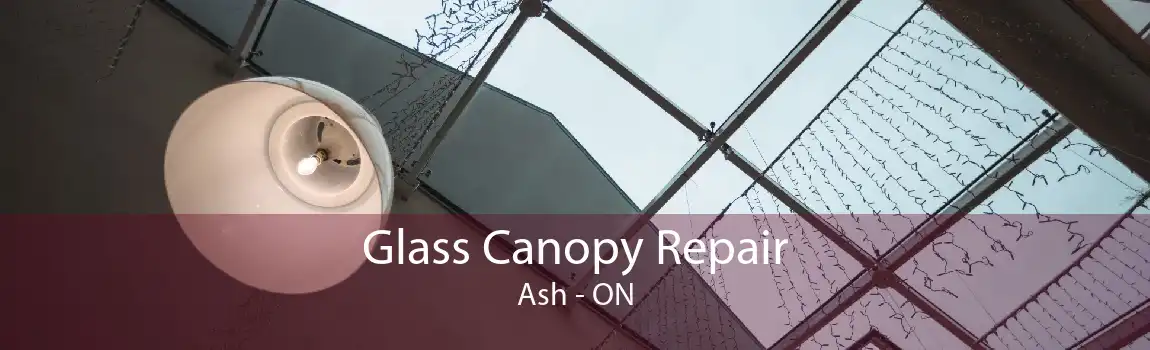 Glass Canopy Repair Ash - ON