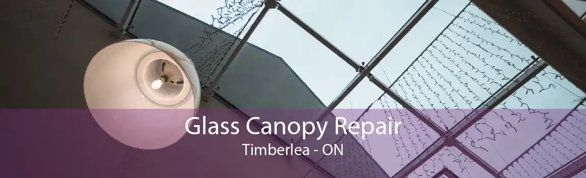 Glass Canopy Repair Timberlea - ON