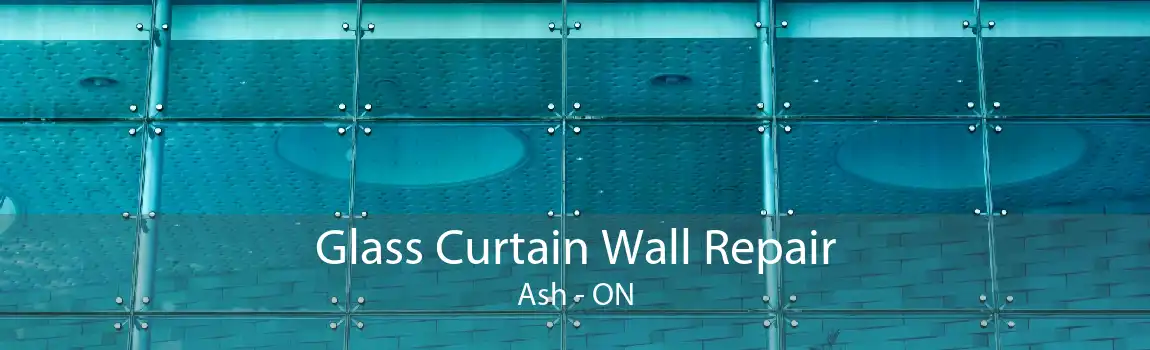 Glass Curtain Wall Repair Ash - ON
