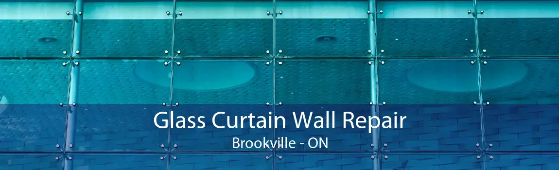 Glass Curtain Wall Repair Brookville - ON