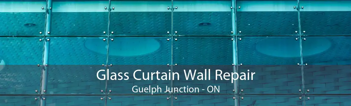 Glass Curtain Wall Repair Guelph Junction - ON