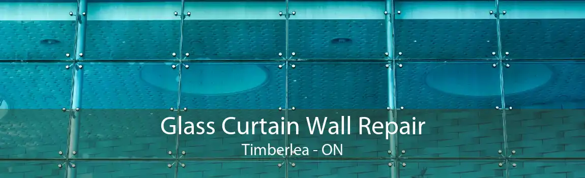 Glass Curtain Wall Repair Timberlea - ON