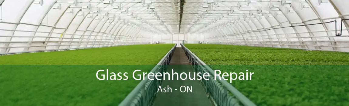 Glass Greenhouse Repair Ash - ON