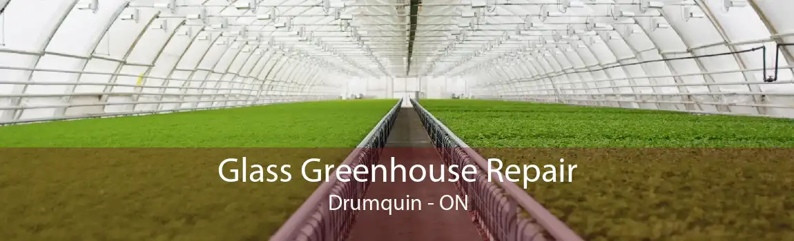 Glass Greenhouse Repair Drumquin - ON