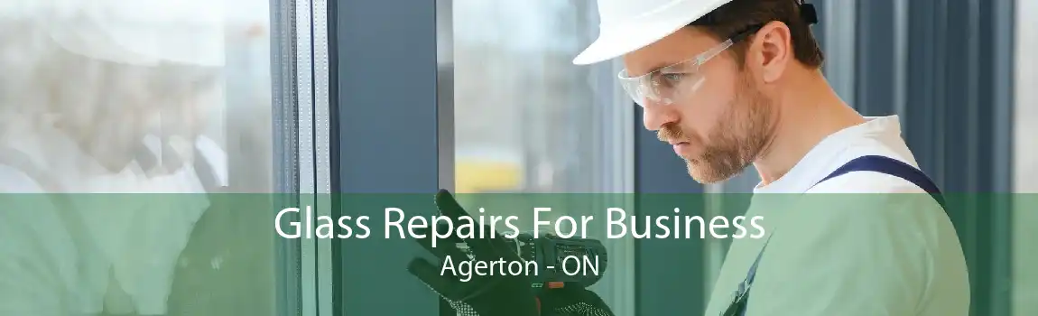 Glass Repairs For Business Agerton - ON