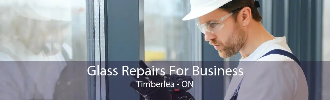 Glass Repairs For Business Timberlea - ON