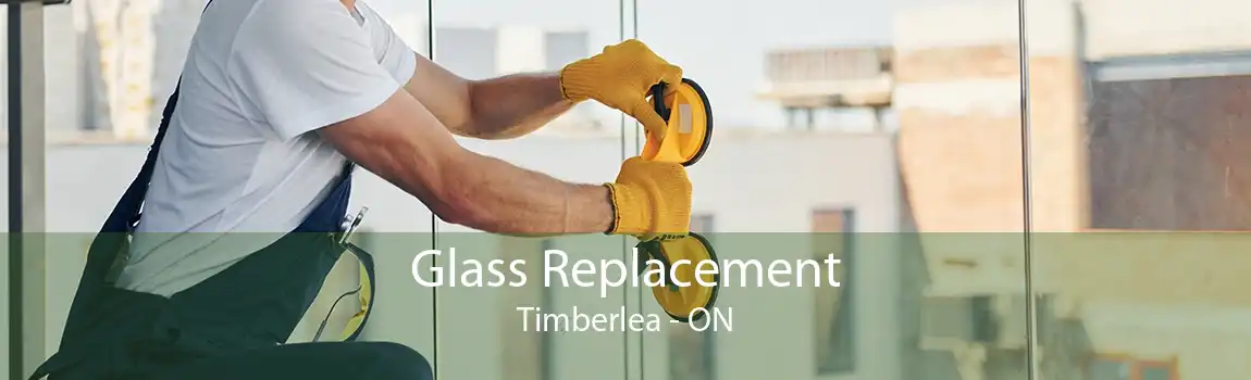 Glass Replacement Timberlea - ON