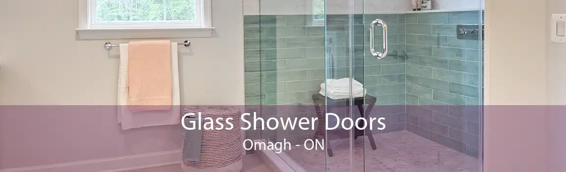 Glass Shower Doors Omagh - ON