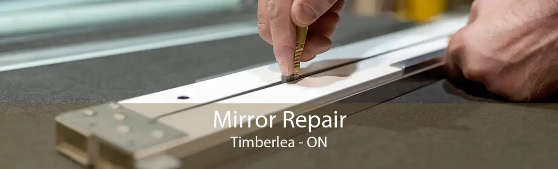 Mirror Repair Timberlea - ON