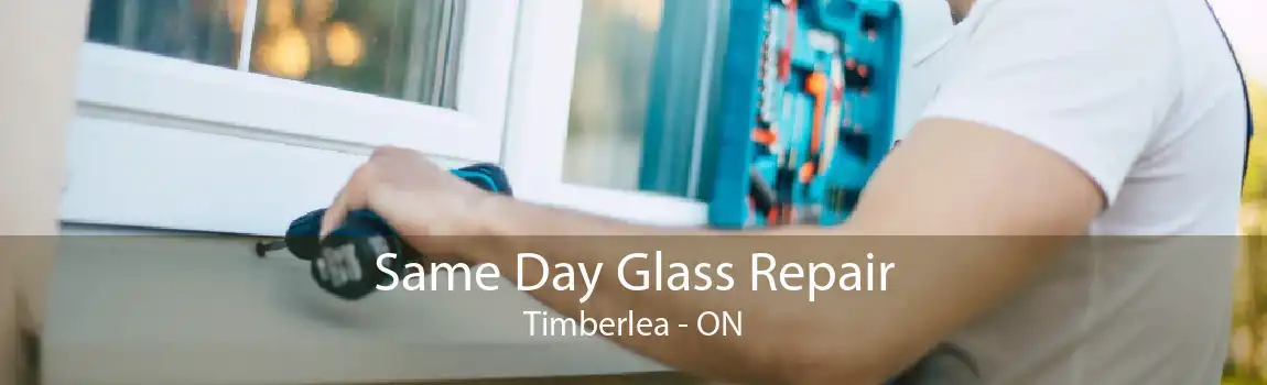 Same Day Glass Repair Timberlea - ON