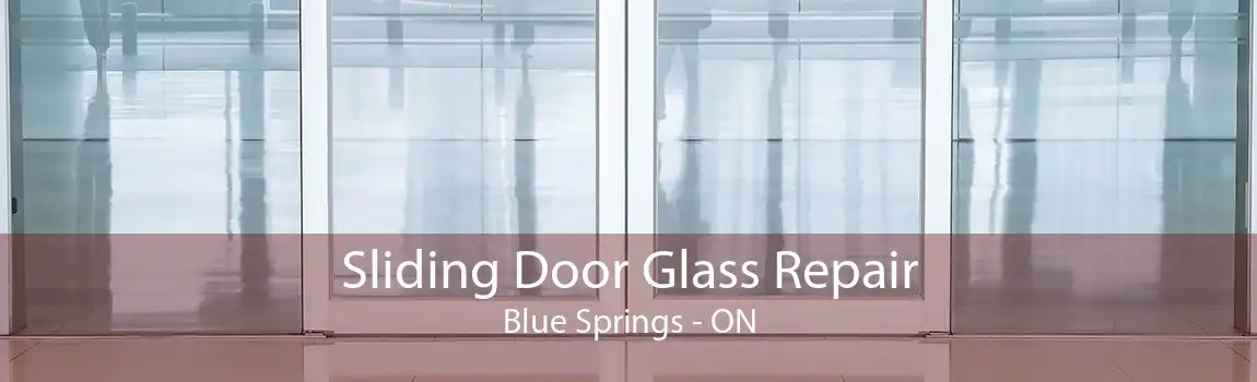 Sliding Door Glass Repair Blue Springs - ON
