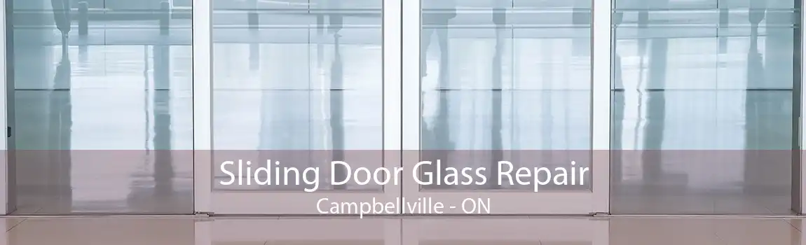 Sliding Door Glass Repair Campbellville - ON