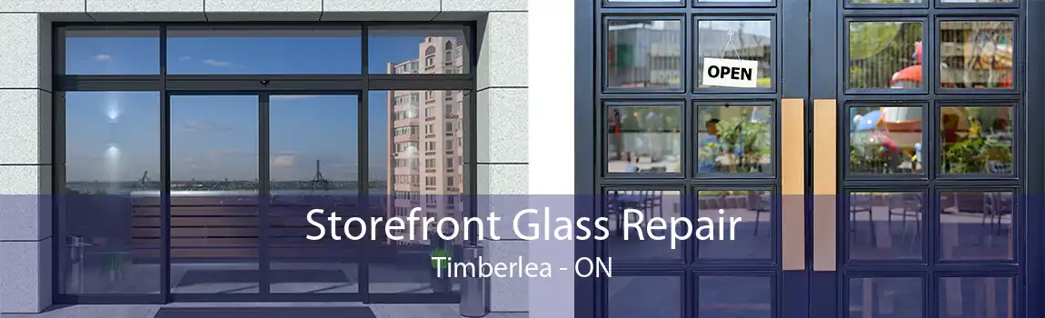 Storefront Glass Repair Timberlea - ON
