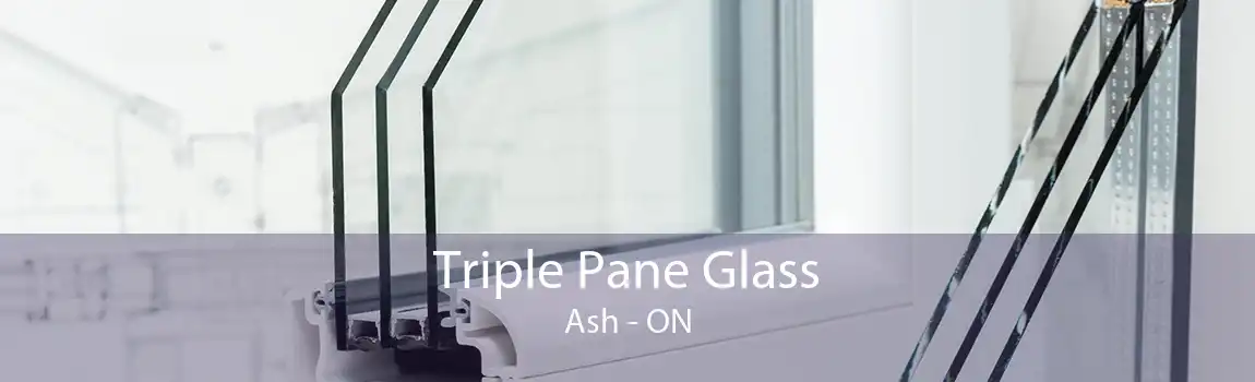 Triple Pane Glass Ash - ON