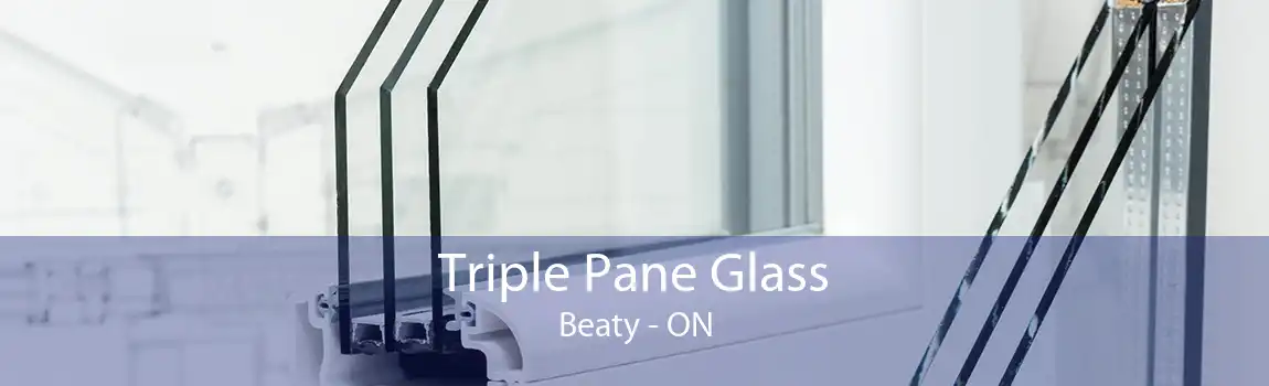 Triple Pane Glass Beaty - ON