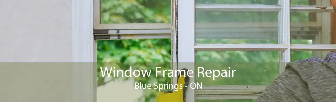 Window Frame Repair Blue Springs - ON