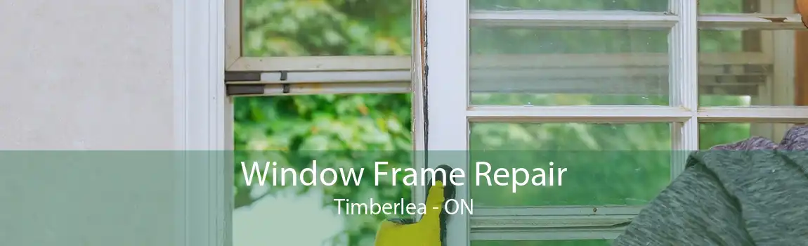 Window Frame Repair Timberlea - ON