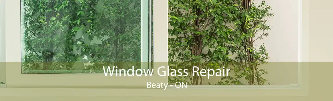 Window Glass Repair Beaty - ON
