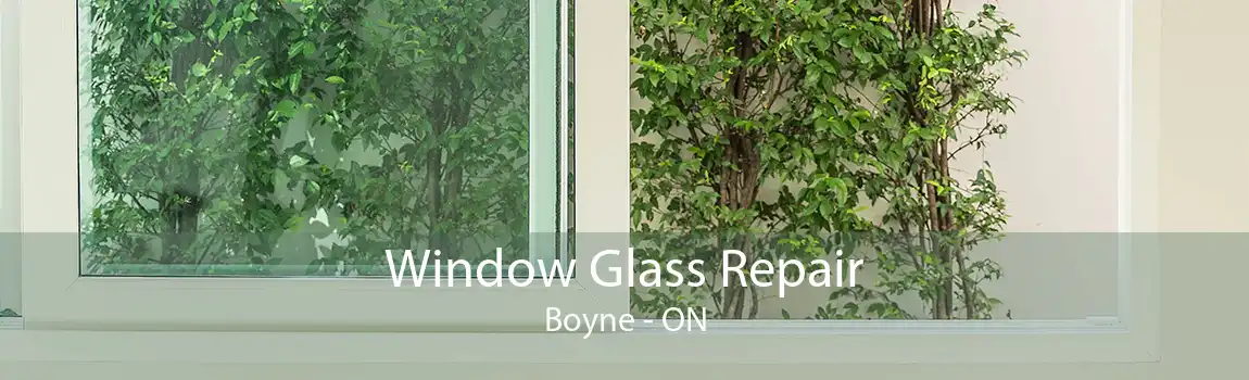 Window Glass Repair Boyne - ON
