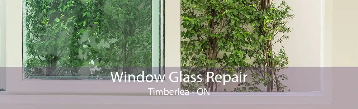 Window Glass Repair Timberlea - ON