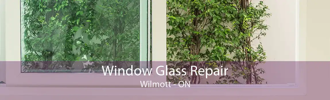 Window Glass Repair Wilmott - ON