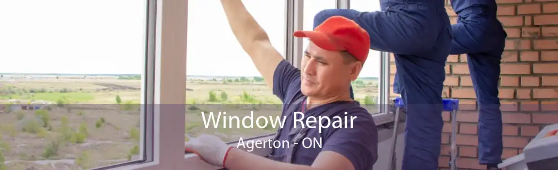 Window Repair Agerton - ON
