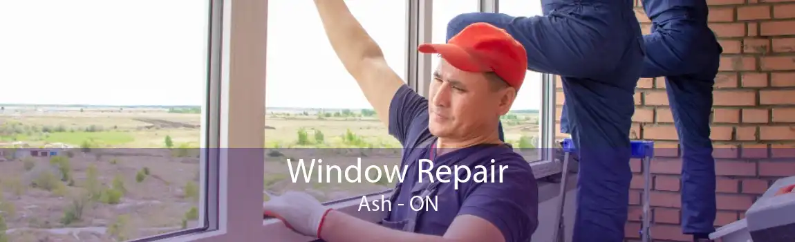 Window Repair Ash - ON