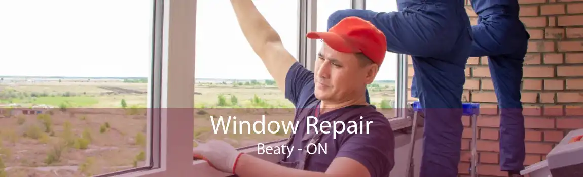 Window Repair Beaty - ON