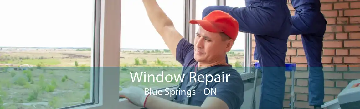 Window Repair Blue Springs - ON