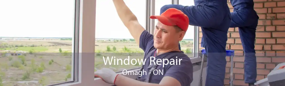 Window Repair Omagh - ON