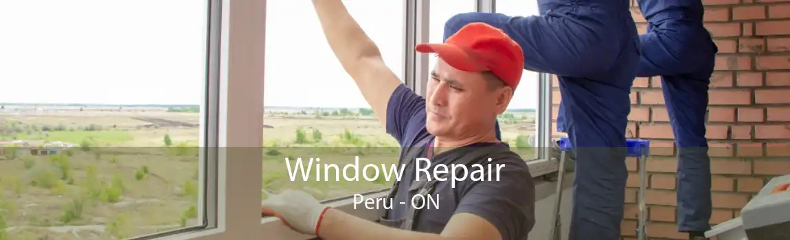 Window Repair Peru - ON
