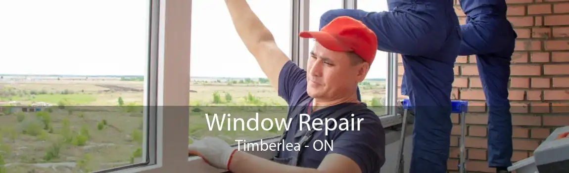 Window Repair Timberlea - ON