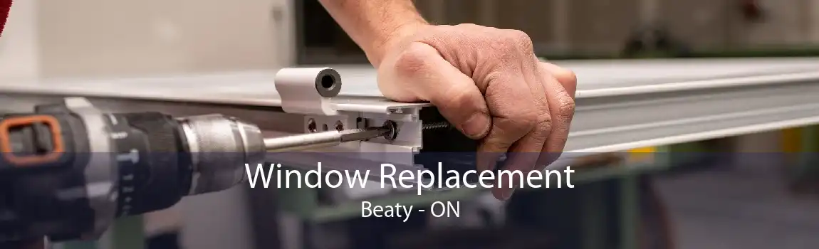 Window Replacement Beaty - ON