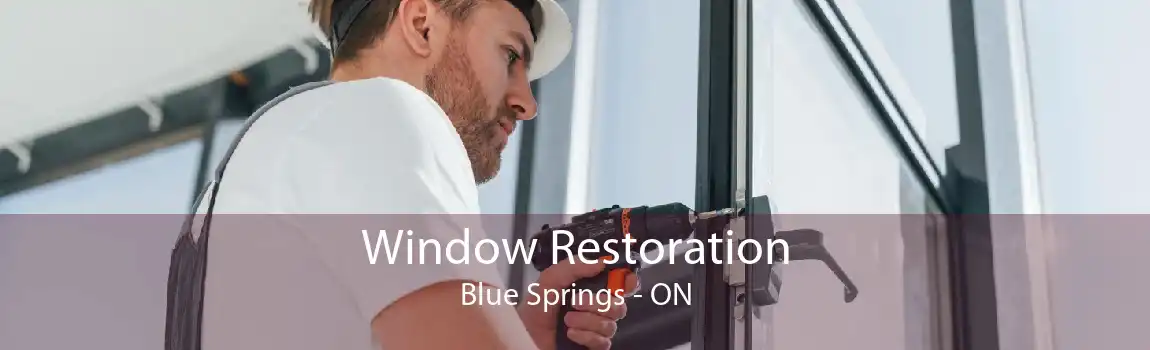 Window Restoration Blue Springs - ON