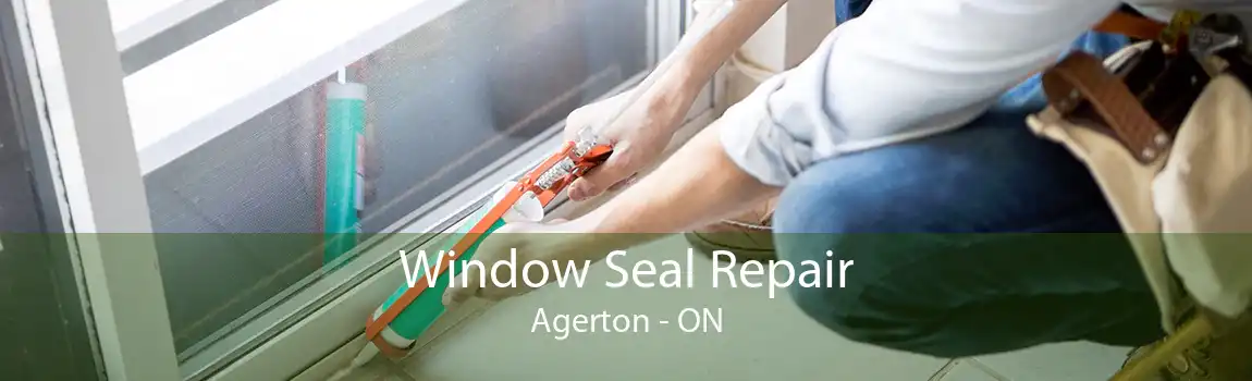 Window Seal Repair Agerton - ON