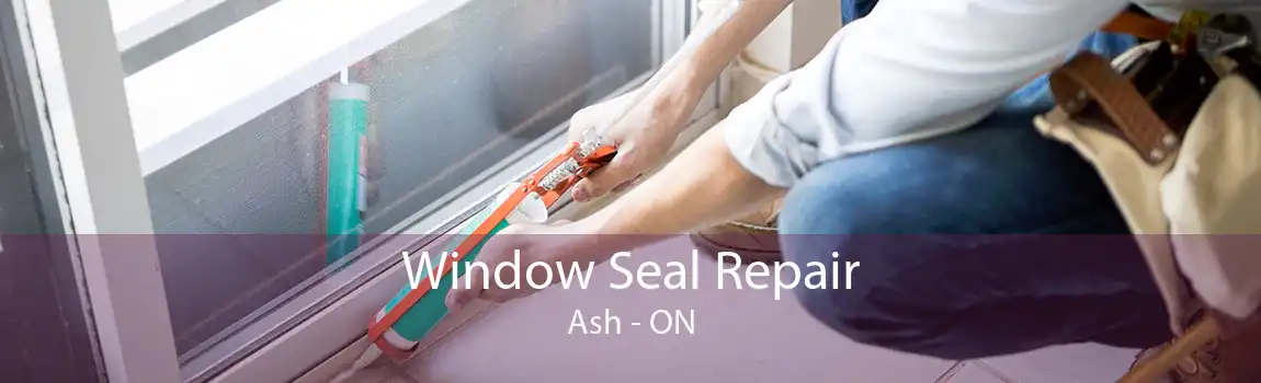 Window Seal Repair Ash - ON