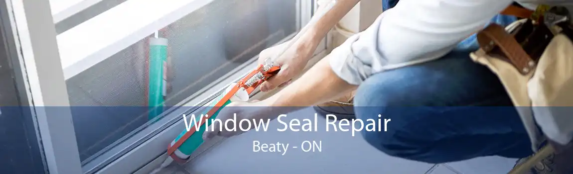 Window Seal Repair Beaty - ON