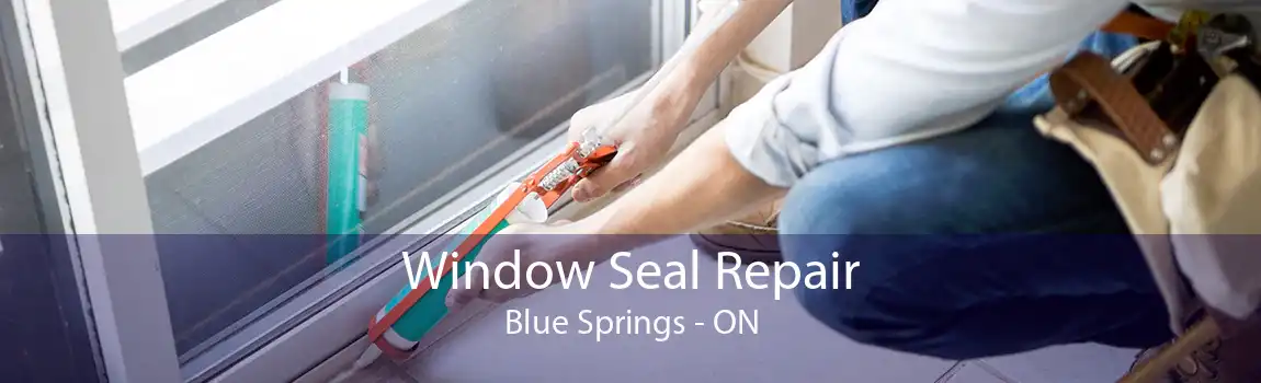 Window Seal Repair Blue Springs - ON
