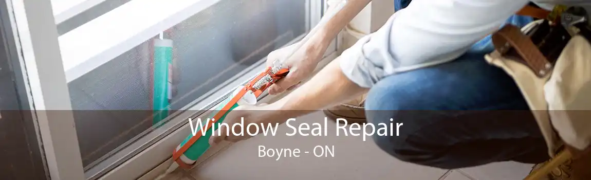 Window Seal Repair Boyne - ON